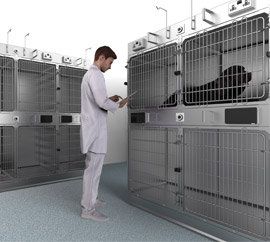 Stainless Steel Kennels