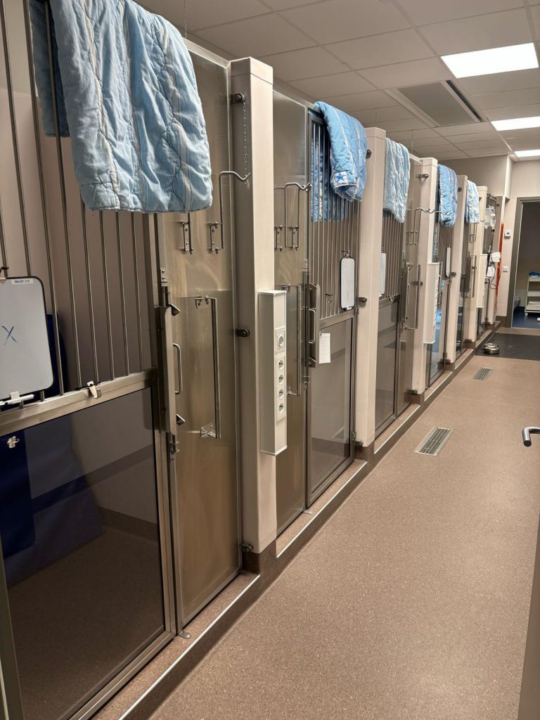 WhatsApp Image 2025 04 28 at 3.18.03 pm