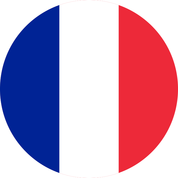 French flag round