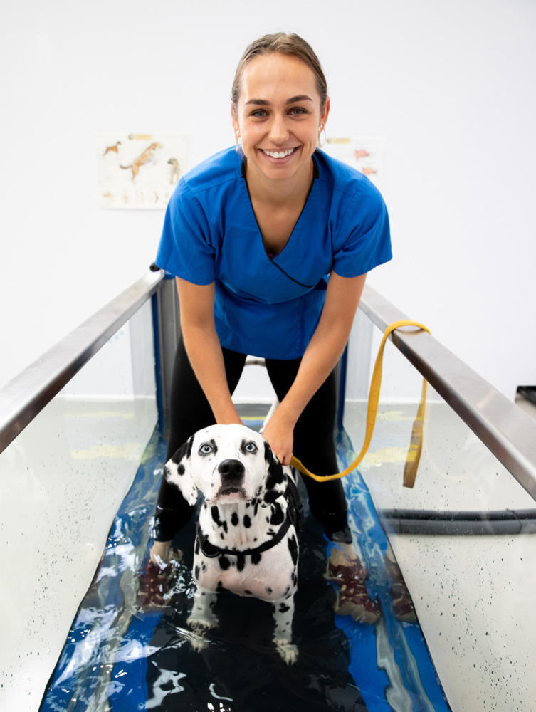 hydro physio canine treadmill