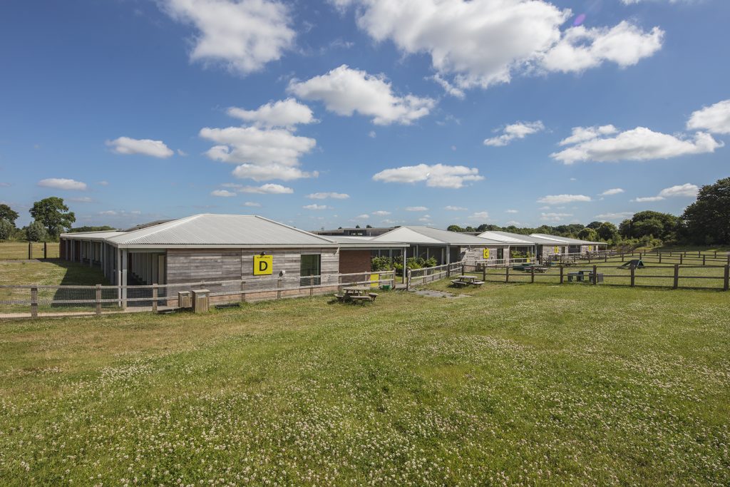 056A4106 2 1024x683 1