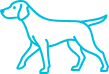 Dog 1